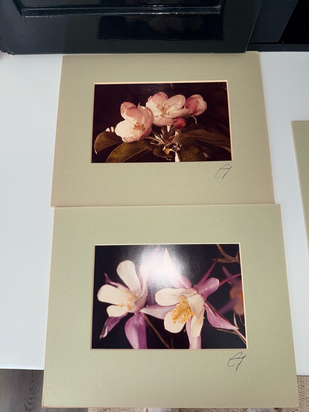 (5) Floral Botanical Prints Matted - PERFECT CONDITION